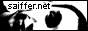 saiffer.net - banner